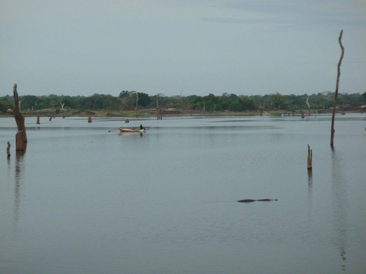 Střípky ze Srí Lanky: Rybaření a tak